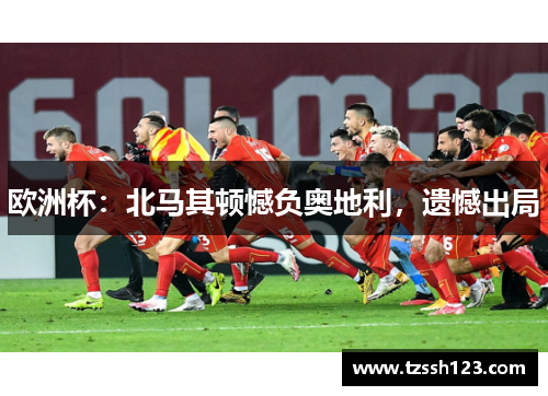 欧洲杯：北马其顿憾负奥地利，遗憾出局