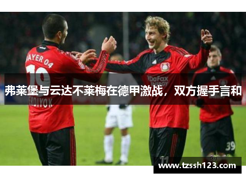 弗莱堡与云达不莱梅在德甲激战，双方握手言和