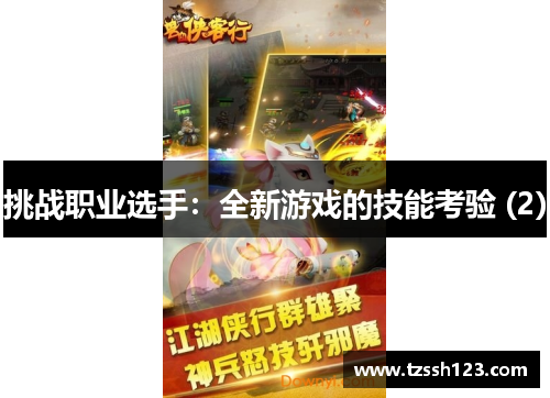 挑战职业选手：全新游戏的技能考验 (2)