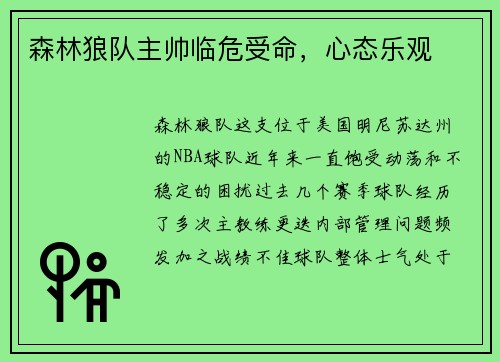 森林狼队主帅临危受命，心态乐观