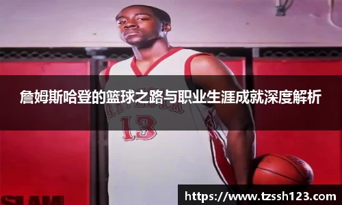 k1体育官方网站